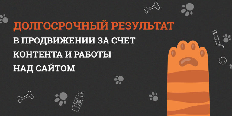 Кейс по SEO для ветеринарной клиники: как мы добились долгосрочного результата в продвижении за счет контента и работы над сайтом